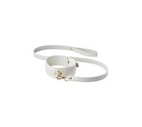 Dream Toys Blaze Elite Collar And Leash White 159 cm