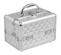 DREAMADE Mallette de Maquillage en Métal Coffret Cosmétique Professionnel avec 3 Étagères et 1 Miroir Coffret Maquillage Femme Complet Portable avec Verrou 23 X 15 X 18 CM (Argent)