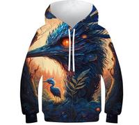 Dreamcatchers652 Sweat à capuche pour enfants garçons filles sweat à capuche automne pull décontracté vêtements filles manches longues pull amusant cool, Autruche du royaume enchanté, 9-11 Years