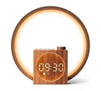 Dreamegg Lampe de Chevet avec Révei, Reveil Simulateur d'aube Tactile Dimmable, 20 Niveaux de Luminosité & 12 Modes d'Intensité d'Éclairag, Wake Up Light de Charge USB, 25 Sons Apaisants, pour Chambre