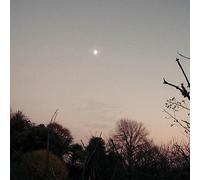 Dreamer Awake Vinyle Clair Vinyle