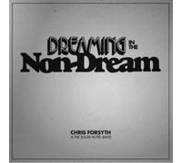 Dreaming In The Non Dream