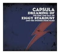 Dreaming Of The Rise And Fall Of Ziggy Stardust And The Spiders From Mars