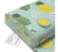DreamRoots Tissu imperméable extérieur au metre 160 cm Largeur - Toile exterieure impermeable 100% de polyester 600D 220g/m - Tissus au metre ameublement Lemons and Limes 1M