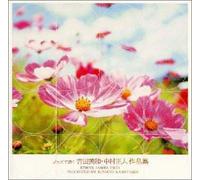 Dreams Come True in Jazz [Import]