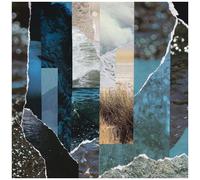Cremation Lily – Dreams Drenched In Static – Vinyle LP (Neuf)