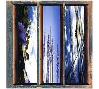 Fernando – Dreams of the Sun & Sky – CD