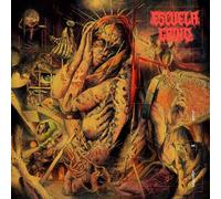 Dreams on Algorithms