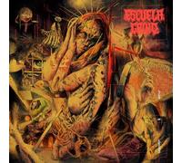 Dreams on Algorithms