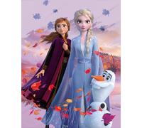Dreamteam Grande couverture polaire super douce Motif La Reine des Neiges 130 x 170 cm Motif Disney Anna Elsa Olaf Kristoff Arendelle Passs totalement inversés