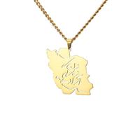 Dreamtimes Collier avec pendentif carte de l'Iran - Colombe de paix - Branche d'olivier - Calligraphie persane - En acier inoxydable - Bijoux d'inspiration persane, Medium, Acier inoxydable, Pas de