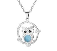 Dreamtimes Élégant collier avec pendentif hibou en acier inoxydable pour femme - Collier hibou de sagesse - Collier avec pendentif animal (Argent)