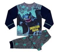 DreamWorks Animation SKG How to Train Your Dragon/Dragons, Dragon Hero Ensemble de Pyjama à Manches Longues, Toothless, 4-5 Ans: 110cm, Multicolore