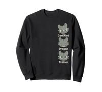 DreamWorks Dragons A Little Feisty Toothless Front & Back Sweatshirt