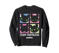 DreamWorks Dragons Team Toothless Expressions Sweatshirt