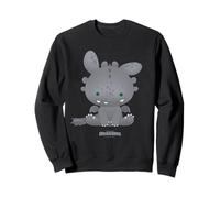 DreamWorks Dragons Tiny Adventures Toothless Sweatshirt