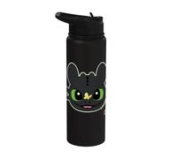DreamWorks Dragons Toothless Butterfly Fun Stainless Steel Insulated Water Bottle
