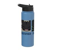 DreamWorks Dragons Toothless Certified Trainer Stainless Steel Insulated Water Bottle