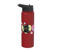 DreamWorks Dragons Toothless Cute Trio Stainless Steel Insulated Water Bottle