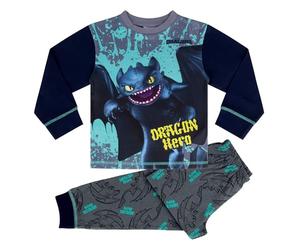 DreamWorks How to Train Your Dragon/Dragons, Dragon Hero Ensemble de Pyjama à Manches Longues, Toothless, 5-6 Ans: 116cm, Multicolore