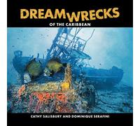 Dreamwrecks of the Caribbean: Diving the best shipwrecks of the region