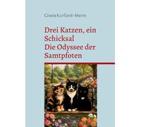 Drei Katzen, ein Schicksal: Die Odyssee der Samtpfoten