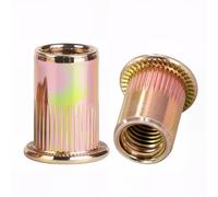 Drenky 50 Pièces écrous à Rivets M8 Insert Fileté Metal écrous à Sertir Tête Plate écrou à Riveter Plaqué Zinc Acier Carbone écrou à Tête Plate Pour Plaques Métalliques, Tubes, Etc.