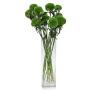 DRERIO Vase carré extra large en verre - 40 cm, fait à la main en cristal transparent pour bouquets de fleurs de mariage et décoration d'intérieur (12 L x 12 L x 40 H)