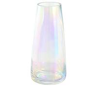 DRERIO Vase Iridescent en Verre - Vase Décoratif Moderne 22 cm pour Centre de Table et Salon - Grand Transparent pour Bouquets (22x10 cm)