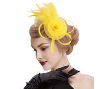 DRESHOW Fascinators Chapeau Femmes Plumage Bandeau Fascinator Fleur Maille Dentelle Clip pour Mariage, Cocktail, Tea Party taille unique