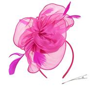 DRESHOW Femmes Fascinator Chapeau Fleur Mesh Plume Mariage Dames Day Bandeau et Clip Cocktail Tea Party Chapeau