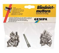 Dresselhaus 0/2984/000///99 - Assortiment d'écrous à rivets aveugles Gesipa - Filetage M5 pour NTS et 8 - Composé d'un mandrin fileté M4-1 pièce - Gris