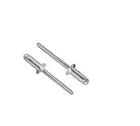 Dresselhaus 2951/000/99 4,8x10 Rivet aveugle