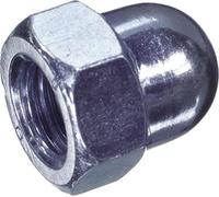 DRESSELHAUS Ecrou borgne forme haute, hexagonal, DIN 15 M10, Unité de vente : 50 pièces
