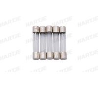 Dresselhaus Fusible en verre 6X32Mm 10A pour véhicules américains