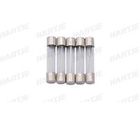 Dresselhaus Fusible en verre 6X32Mm 20A pour véhicules américains