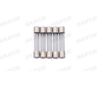 Dresselhaus Fusible en verre 6X32Mm 30A pour véhicules américains