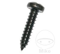 DRESSELHAUS Lot de 100 vis à tôle 3.9 7981