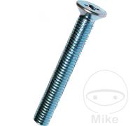 DRESSELHAUS Pack 100 vis à tête fraisée M4 965