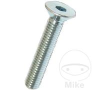 DRESSELHAUS Pack 100 vis à tête fraisée M8X40 MM