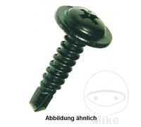 DRESSELHAUS Pack 100 vis autoperceuses 4.2 7504M