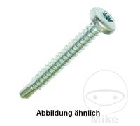 DRESSELHAUS Pack 100 vis autoperceuses 4.2 7504M TORX