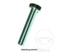 DRESSELHAUS Pack 100 vis hexagonales 4 933