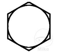 DRESSELHAUS Pack 100 vis hexagonales 8 933
