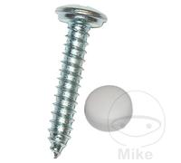 DRESSELHAUS Pack 100 vis pour plaque d''immatriculation 5.6X19 MM