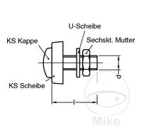 DRESSELHAUS Pack 4 vis pour plaque d''immatriculation 6X20 MM