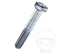 DRESSELHAUS Pack 50 vis 8X10 MM 931