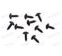 DRESSELHAUS Vis à tôle à tête cylindrique bombée, empreinte cruciforme 4,2 x 13 mm, A