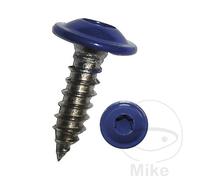 DRESSELHAUS Vis à tôle avec embase 4.8 I-STERN V2A RAL5002