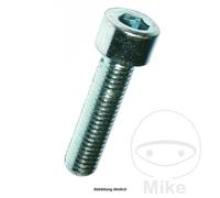 DRESSELHAUS Vis Allen 10X30 912 VZ8.8 (100U)